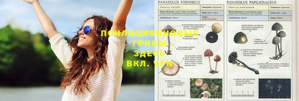 СК Алексеевка