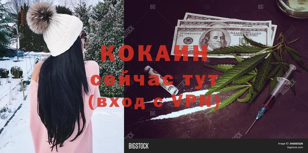 ГАЛЛЮЦИНОГЕННЫЕ ГРИБЫ Михайловка