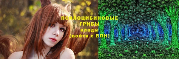 СК Алексеевка